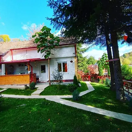 Casuta Dintre Brazi - - 2 Holiday home Valea Doftanei