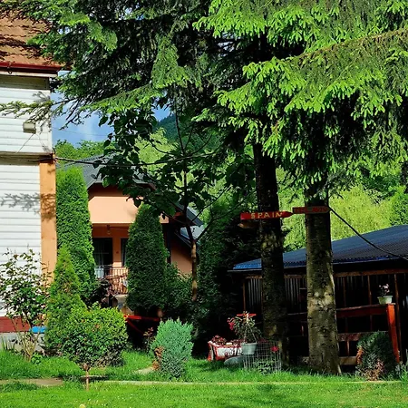 Casuta Dintre Brazi - - 2 Holiday home