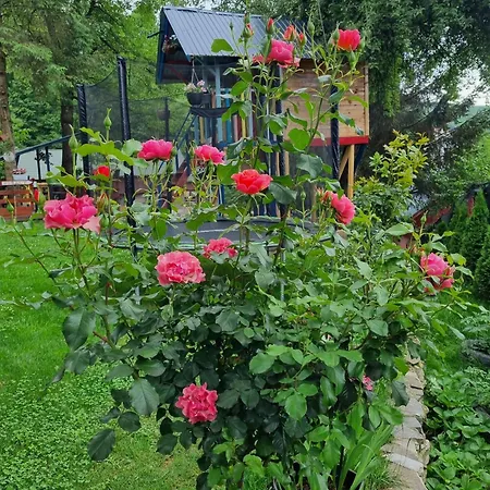 Holiday home Casuta Dintre Brazi - - 2 Valea Doftanei