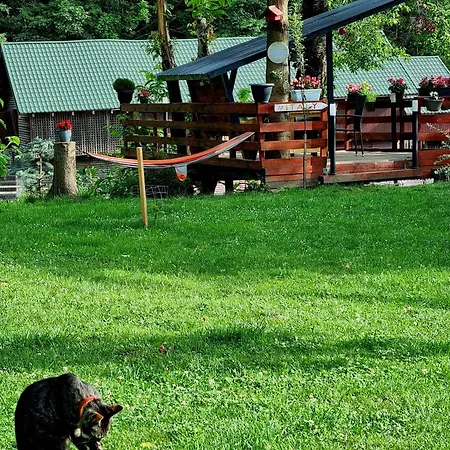Casuta Dintre Brazi - - 2 Holiday home Valea Doftanei