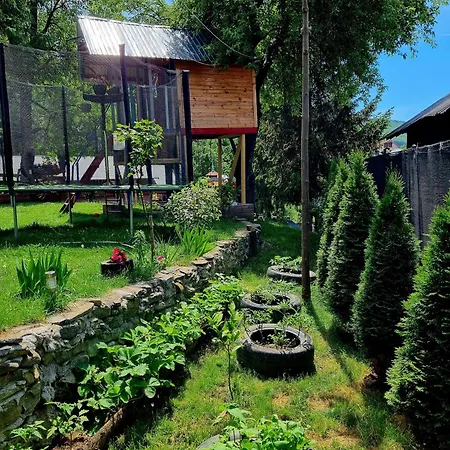 Casuta Dintre Brazi - - 2 Valea Doftanei