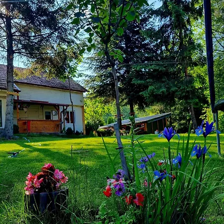 Casuta Dintre Brazi - - 2 Valea Doftanei