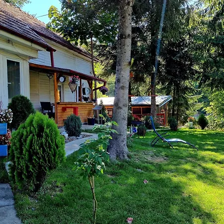 Casuta Dintre Brazi - - 2 Holiday home