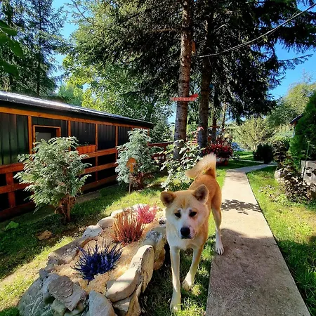 Casuta Dintre Brazi - - 2 Valea Doftanei