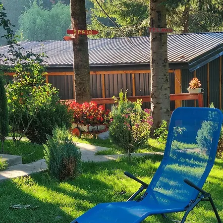 Casuta Dintre Brazi - - 2 Holiday home