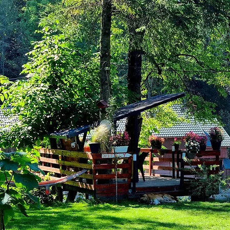 Casuta Dintre Brazi - - 2 Holiday home *