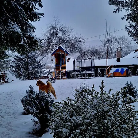Casuta Dintre Brazi - - 2 Holiday home Valea Doftanei