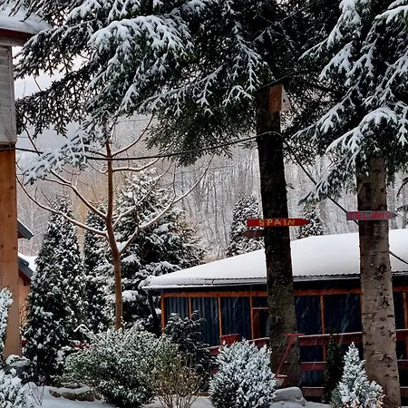 Casuta Dintre Brazi - - 2 Holiday home *