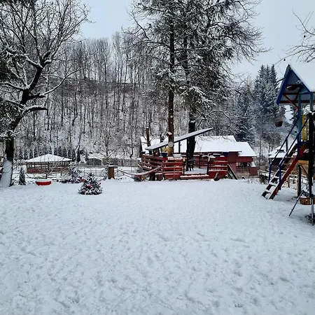 Casuta Dintre Brazi - - 2 Holiday home Valea Doftanei