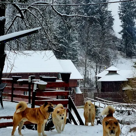 Casuta Dintre Brazi - - 2 * Valea Doftanei