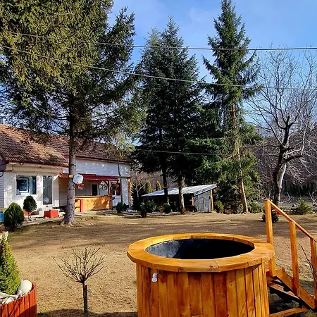 Casuta Dintre Brazi - - 2 Holiday home
